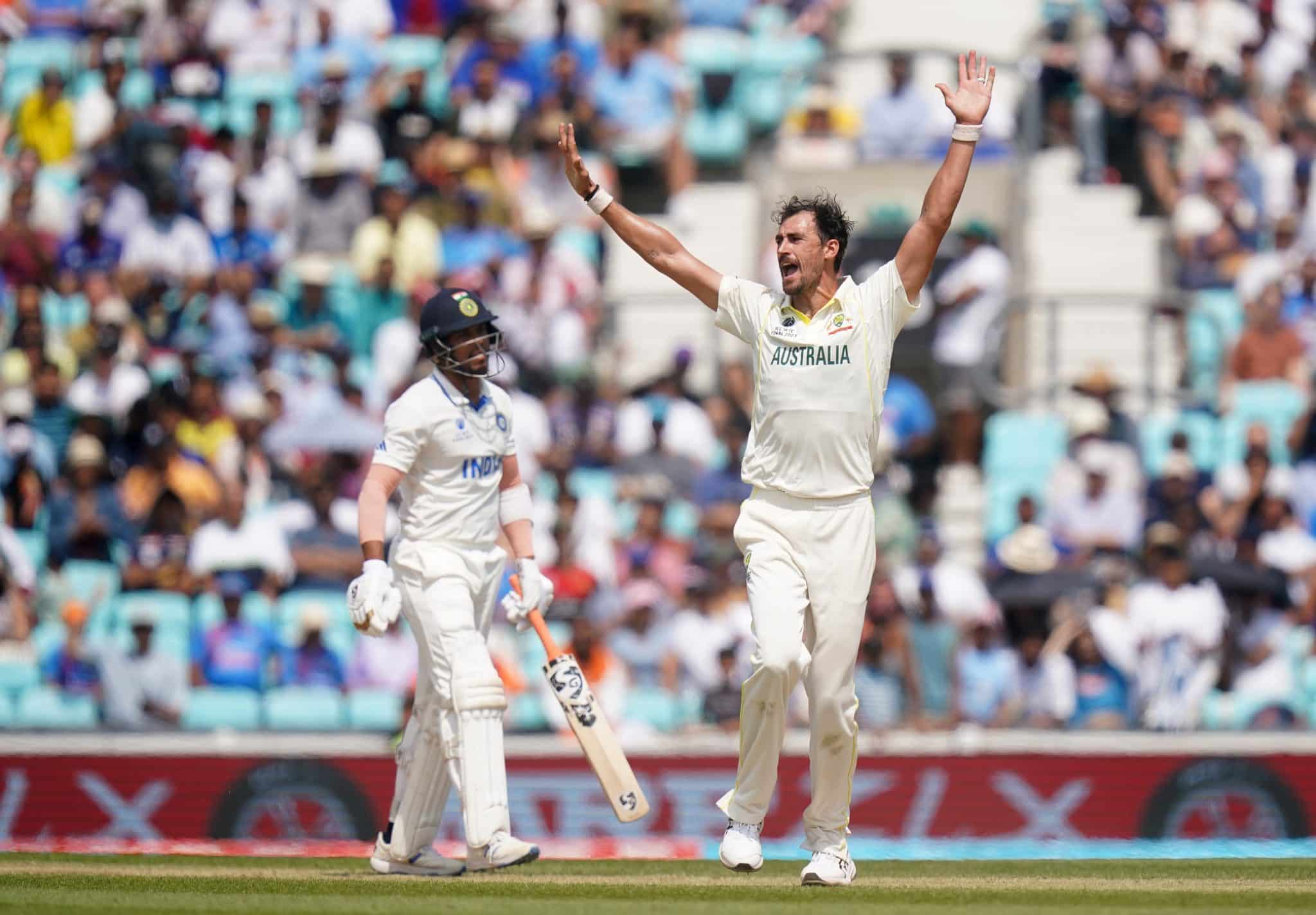 Mitchell starc wickets