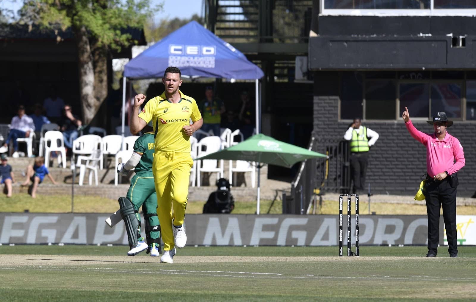 Hazlewood says pacers hold the key for Australia at WC 2023