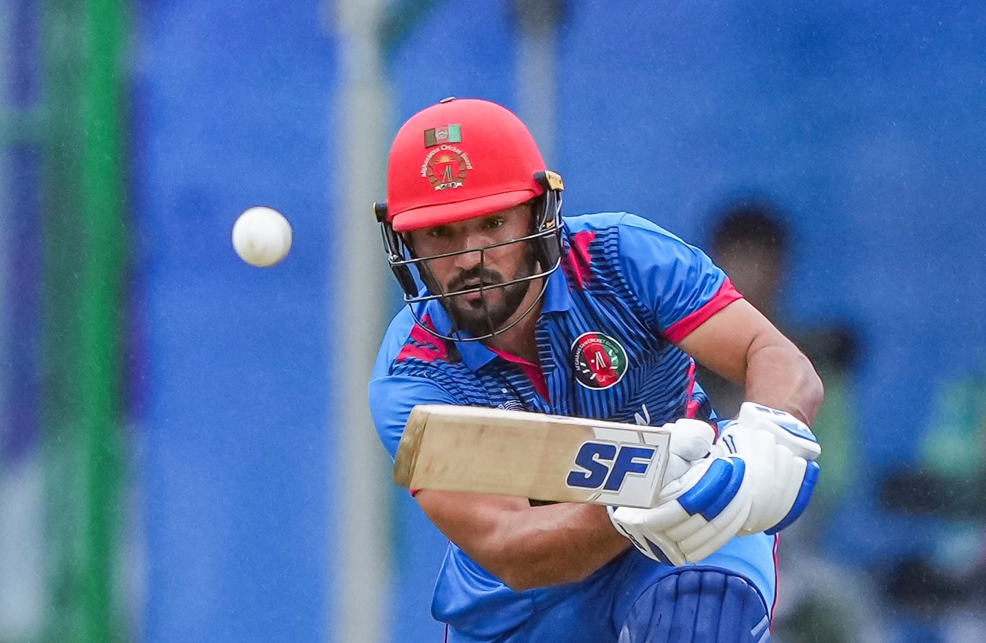 india vs afghanistan head to head