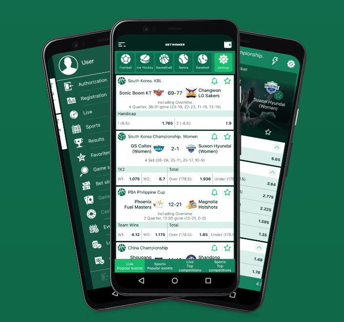Betwinner India Review