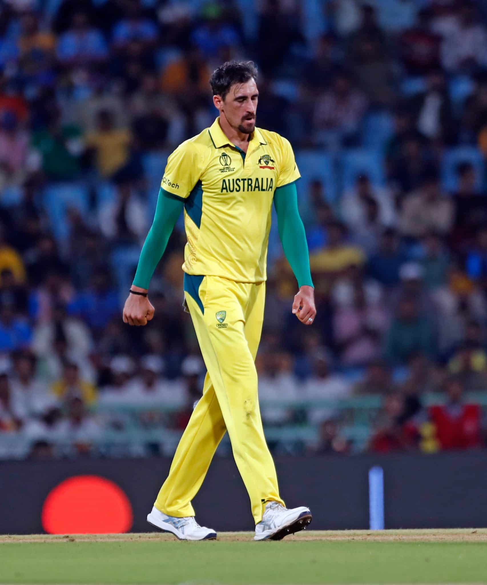 Mitchell Starc KKR